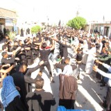 IMG_1581c3f74ef75264e9c5