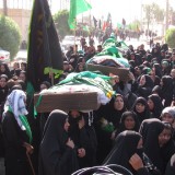 IMG_1583d77a78572e0d6516