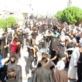 IMG_15867c8d19d3ce454535